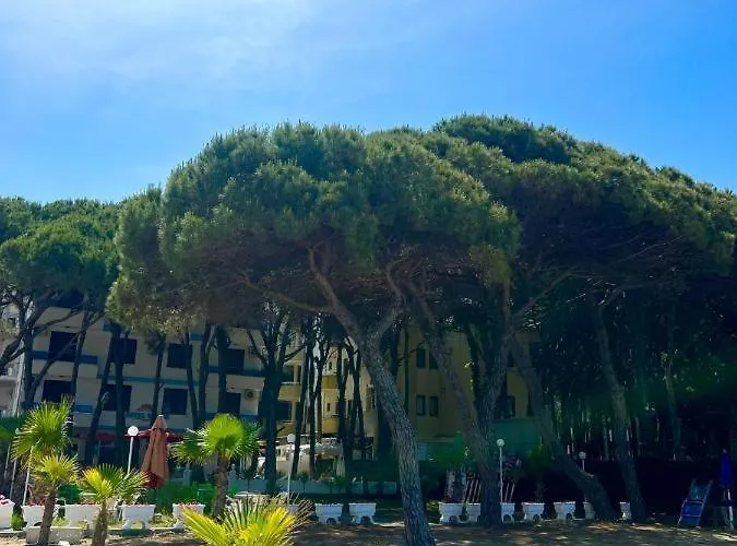 Cozy Heaven Apartment